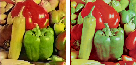Colosized Image