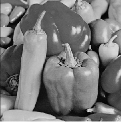Original Black-and-White Image
