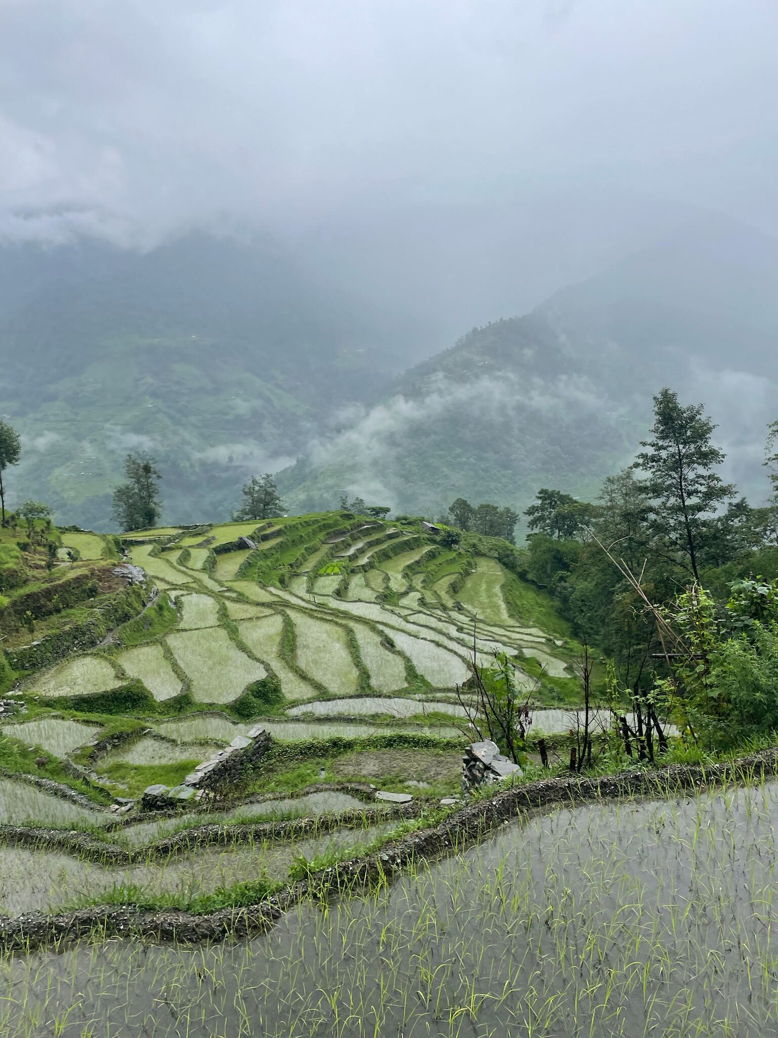 Nepal image 13