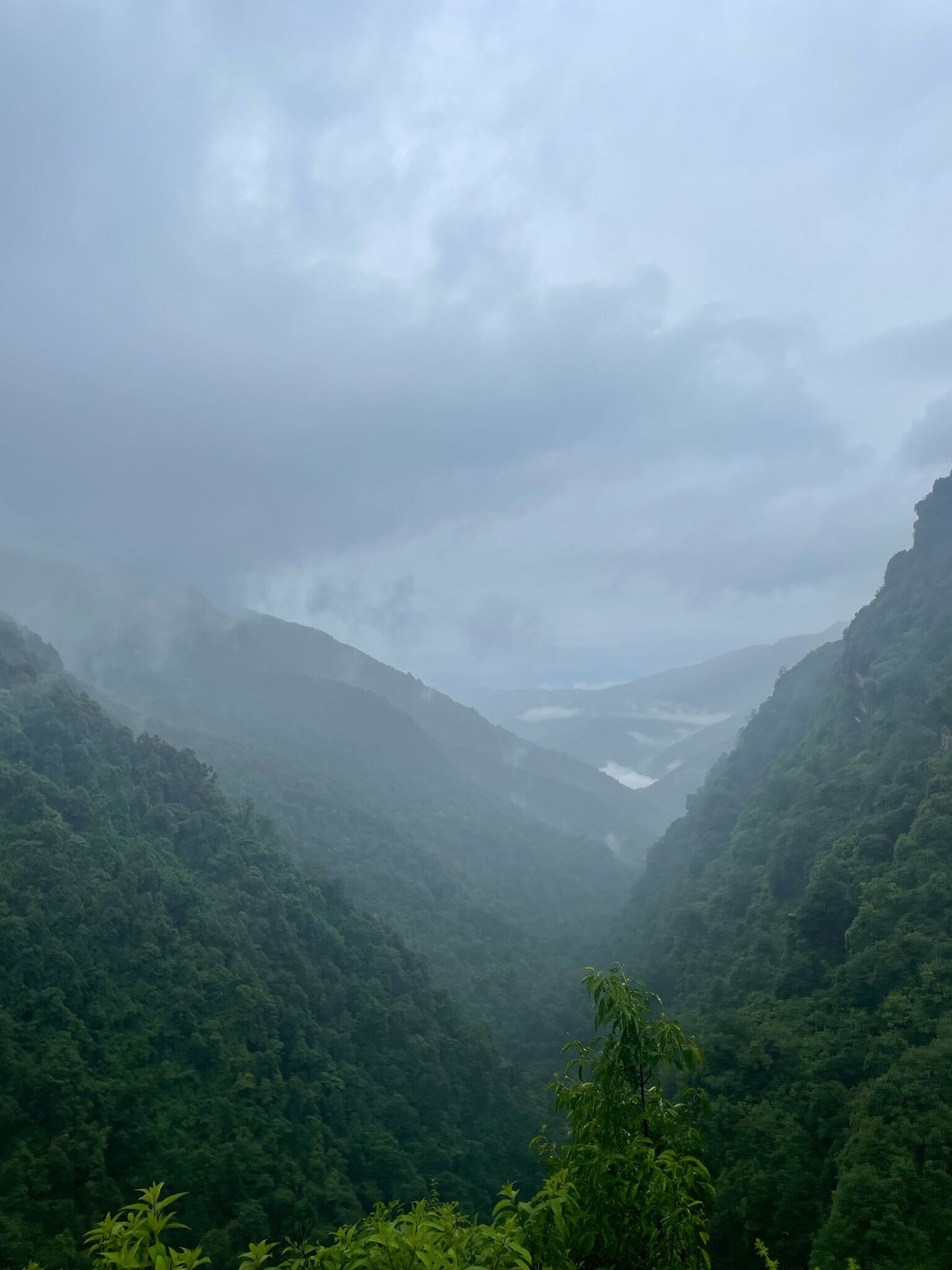 Nepal image 16