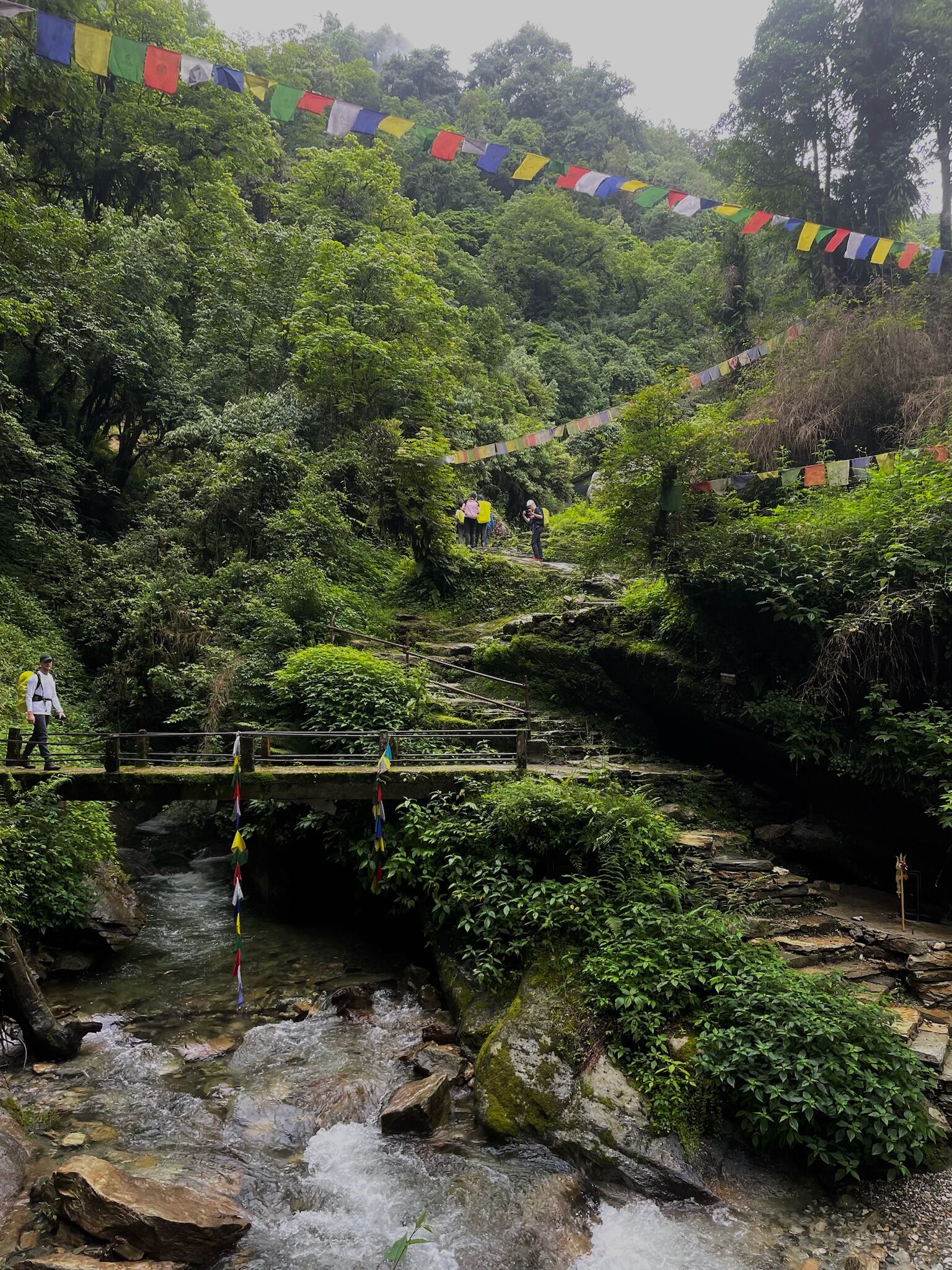 Nepal image 20