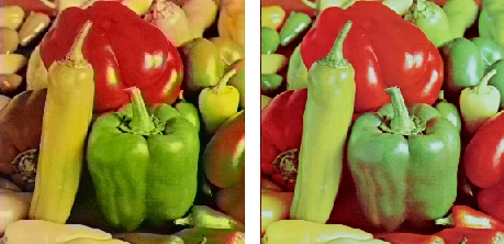 Colosized Image