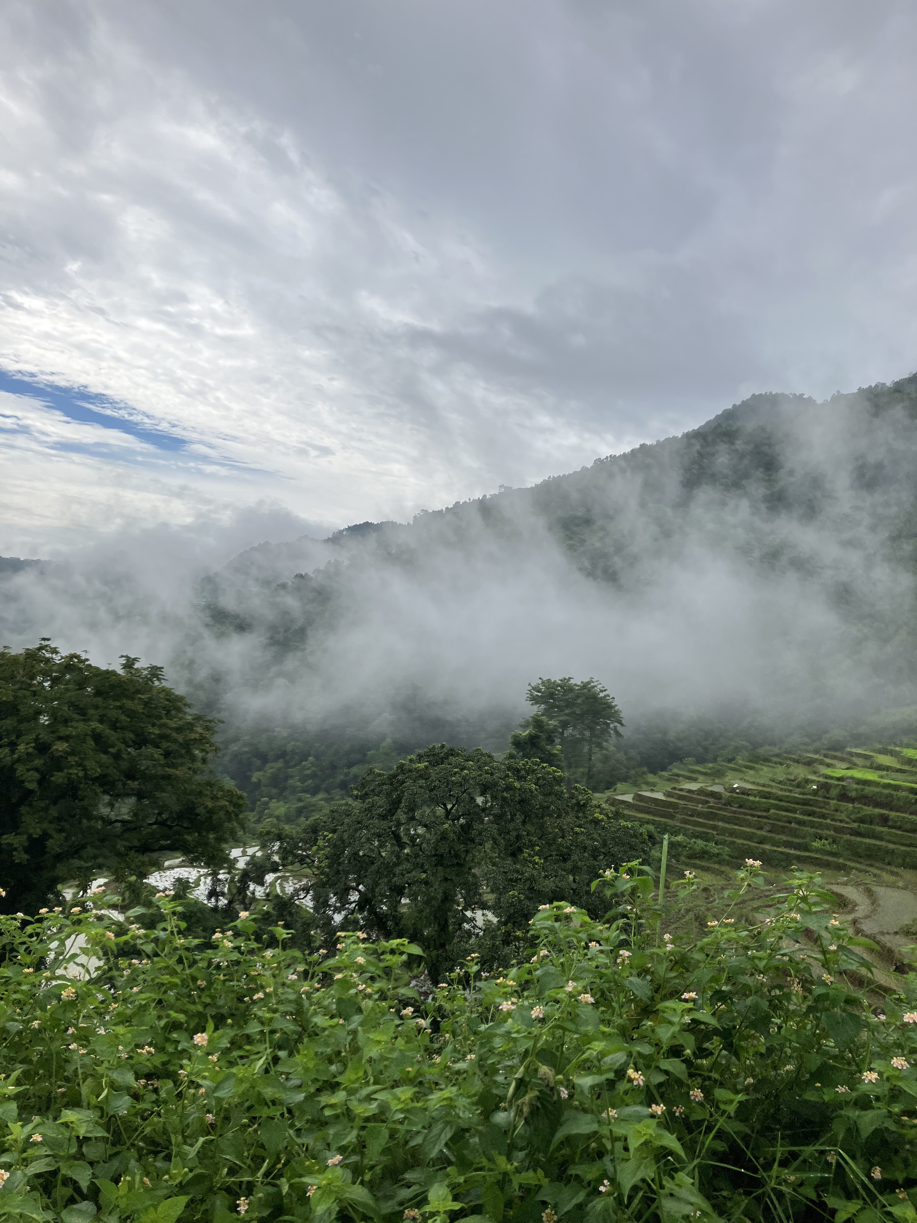 Nepal image 8