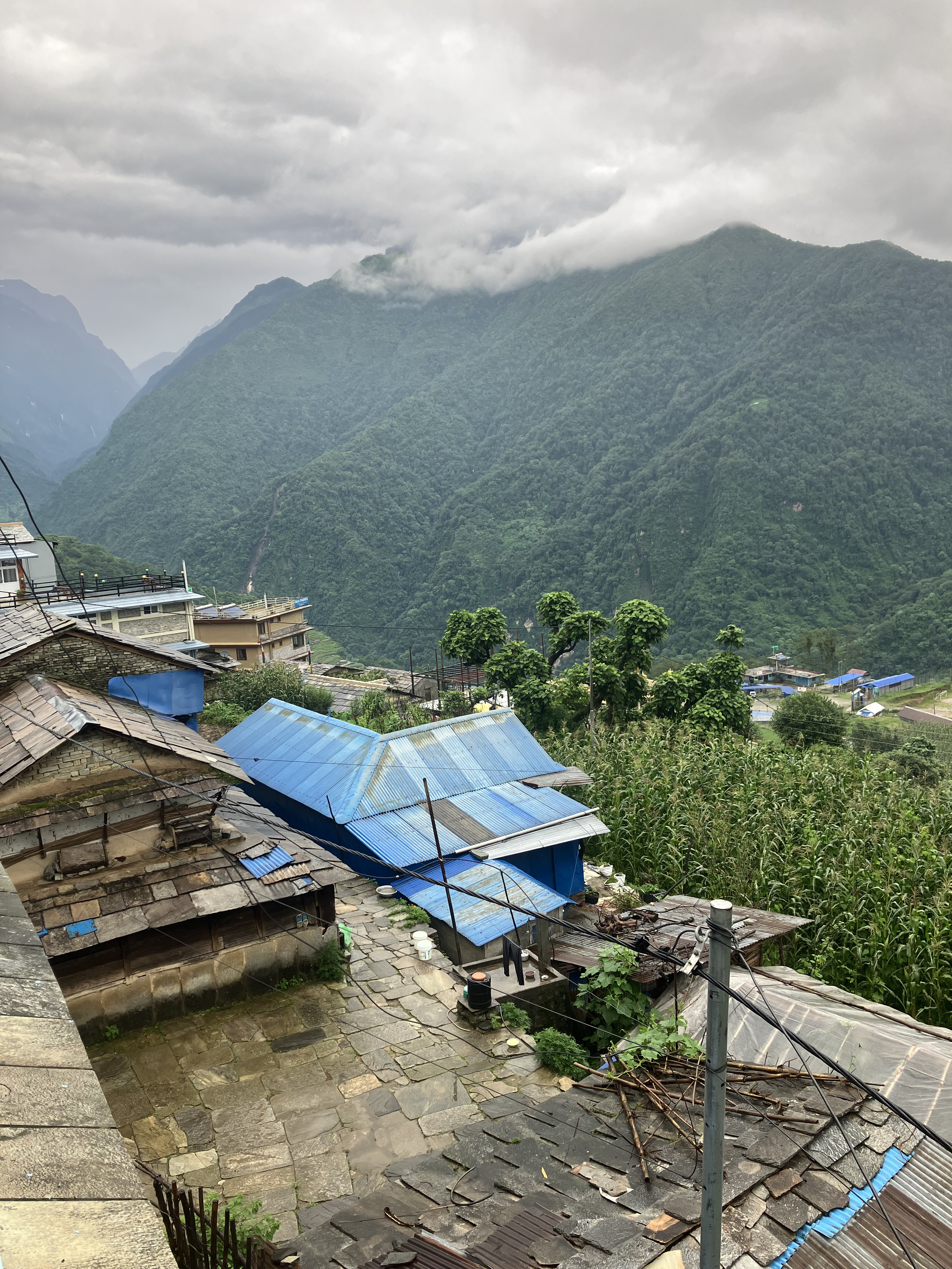 Nepal image 10