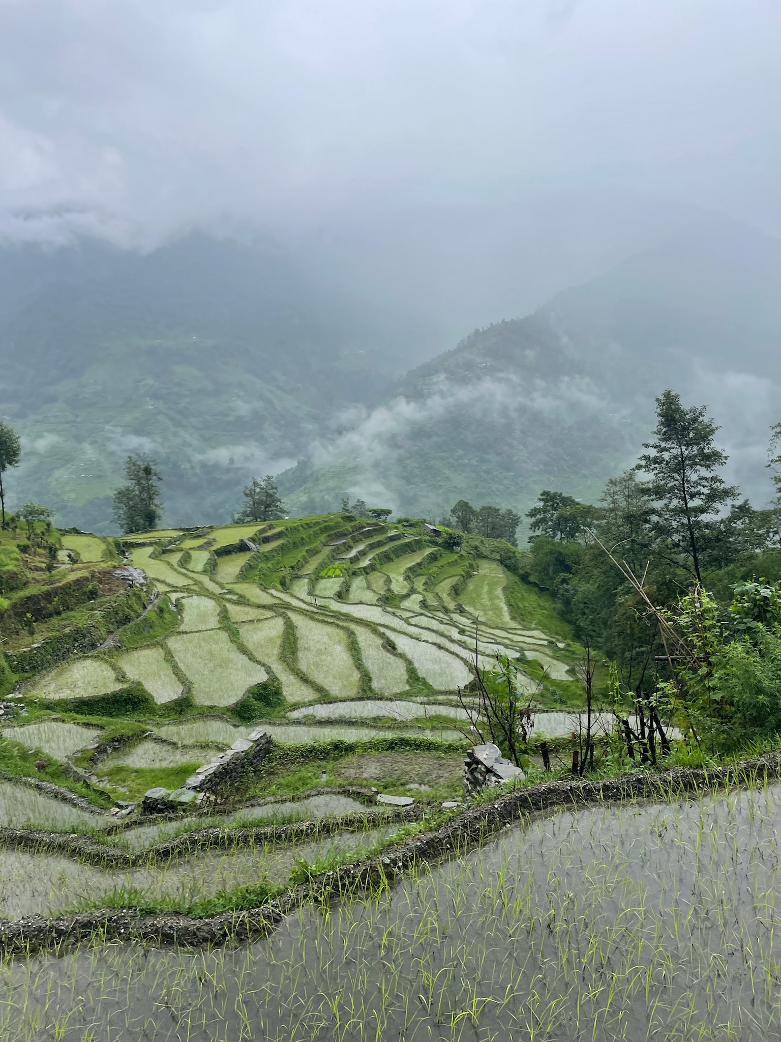 Nepal image 13
