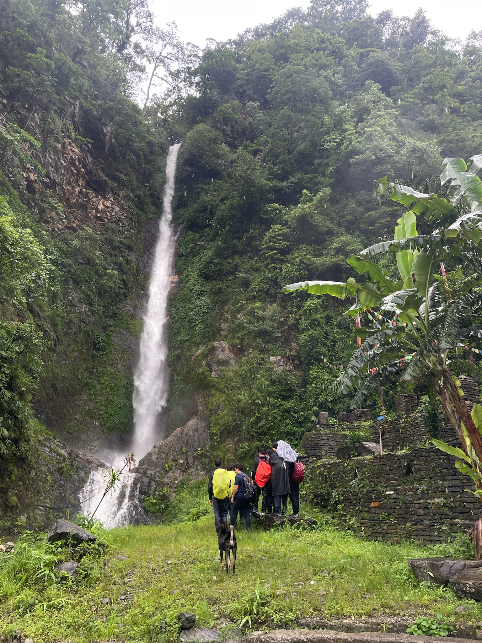 Nepal image 14