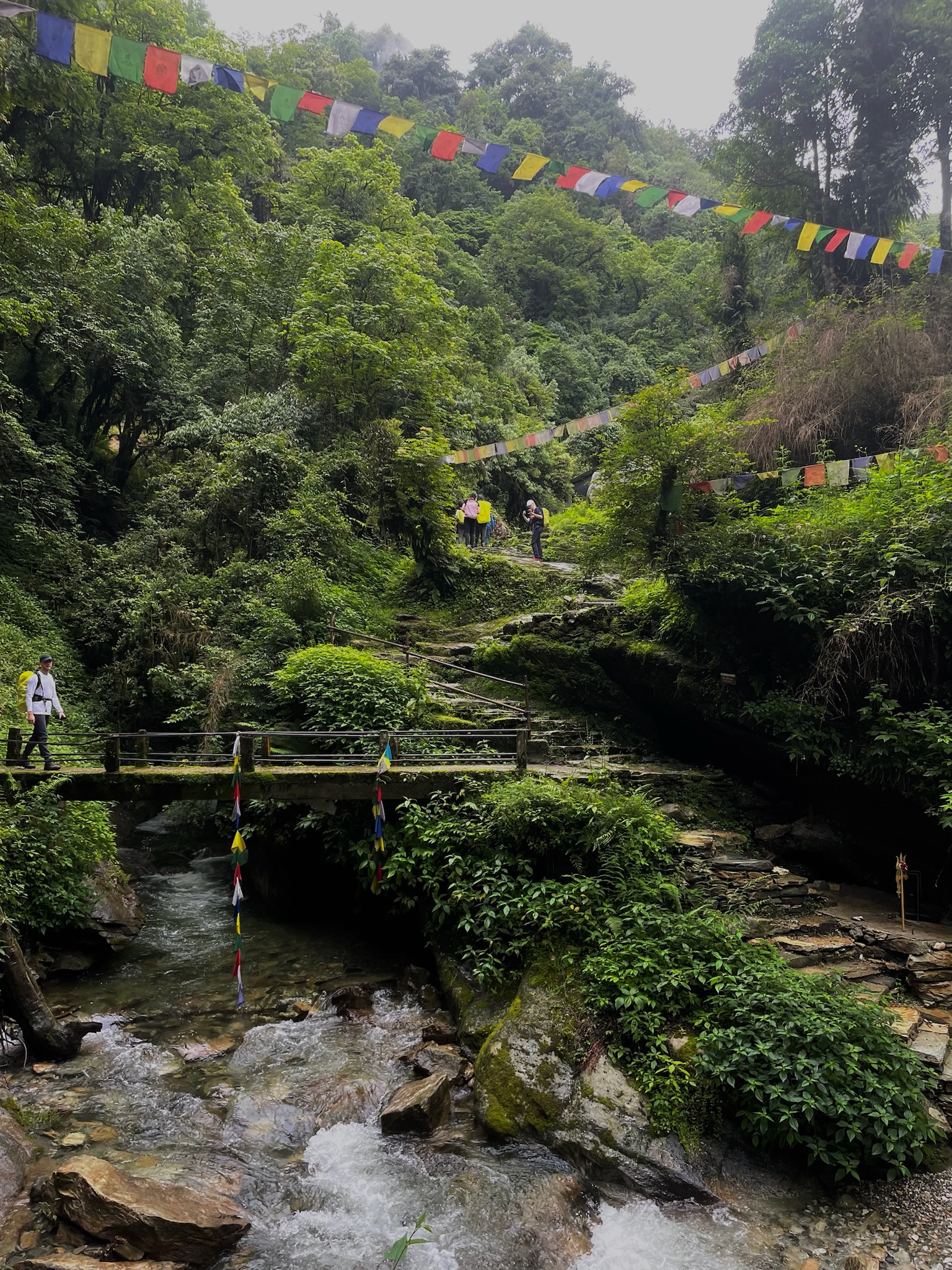 Nepal image 20